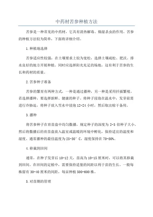 中药材苦参种植方法