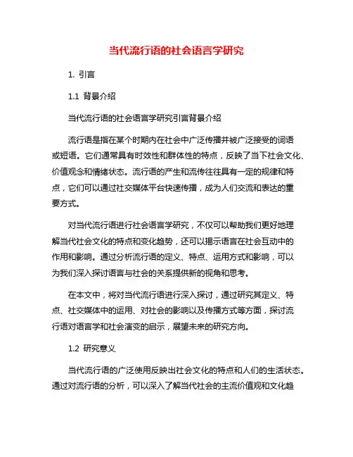 当代流行语的社会语言学研究