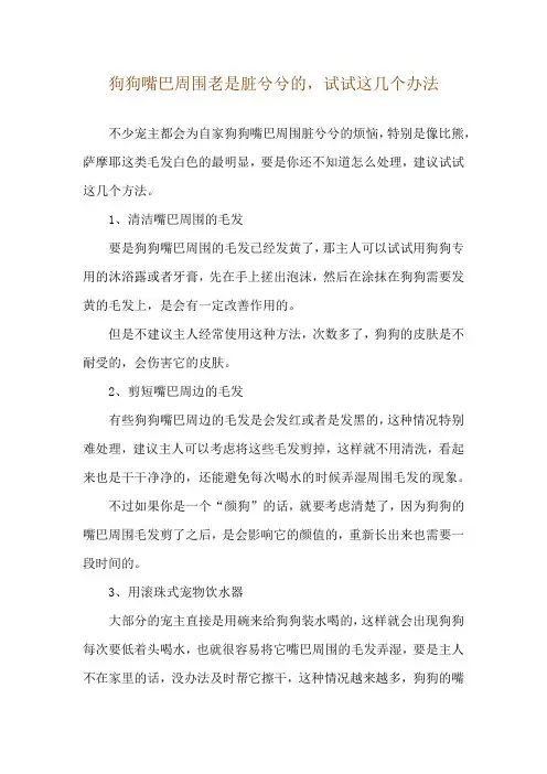 狗狗嘴巴周围老是脏兮兮的,试试这几个办法
