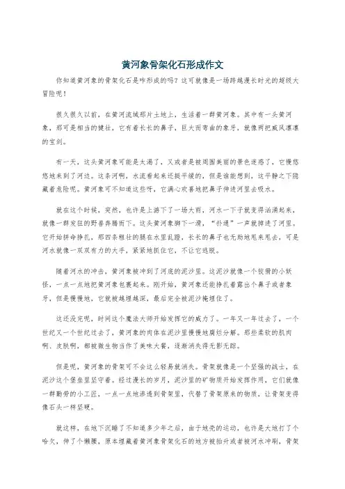 黄河象骨架化石形成作文