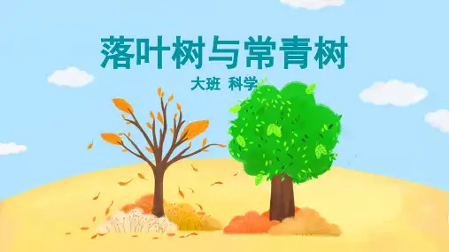 大班-科学-落叶树与常青树-课件