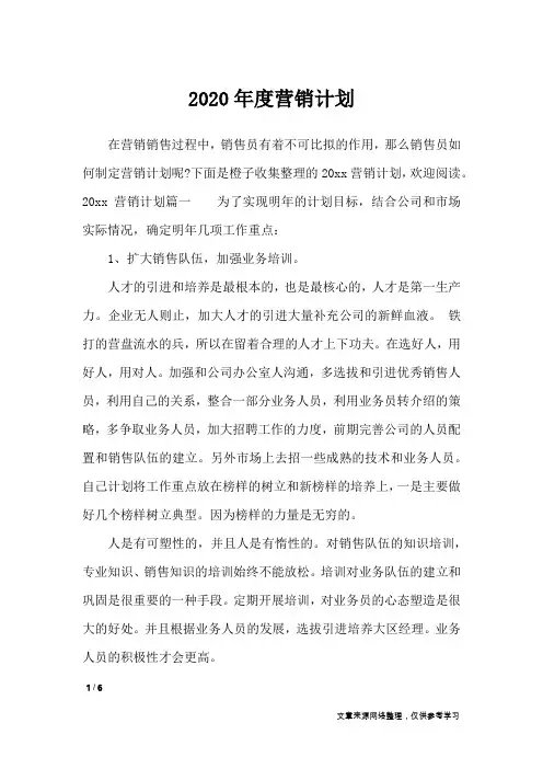 2020年度营销计划_工作计划