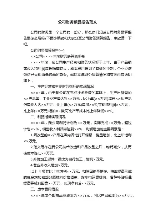 公司财务预算报告范文