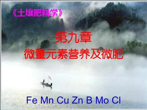 土壤肥料学 微量元素营养与微肥(ZnBMoCl)