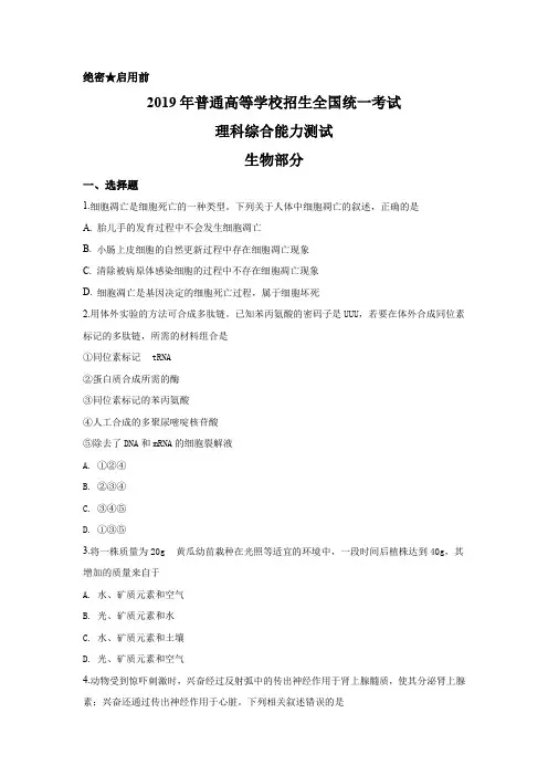 2019年山东高考生物真题试卷(含答案)