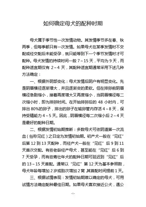 如何确定母犬的配种时期