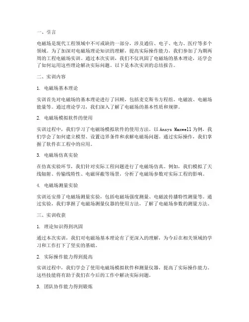工程电磁场实训报告总结