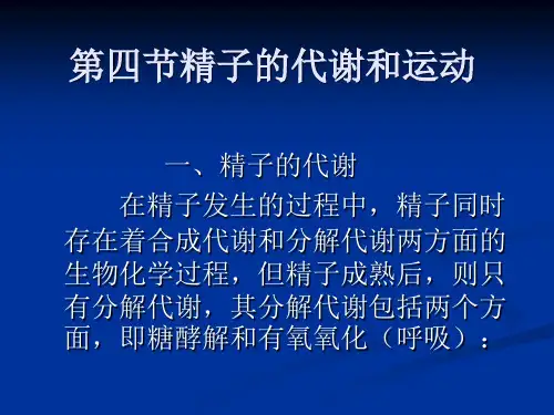 第四节精子的代谢和运动