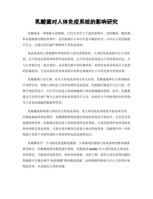 乳酸菌对人体免疫系统的影响研究