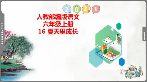 《夏天里成长》课件(共46张PPT)