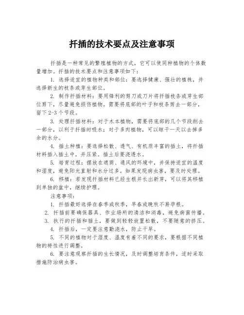 扦插的技术要点及注意事项