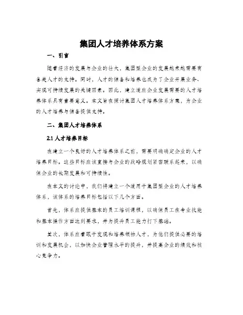 集团人才培养体系方案
