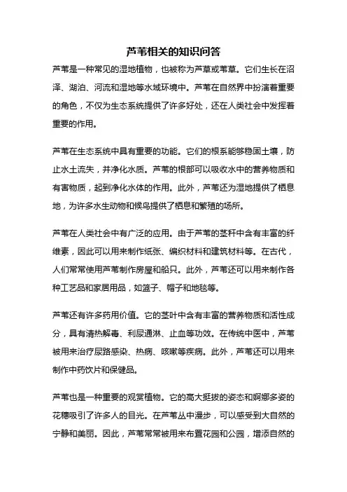 芦苇相关的知识问答