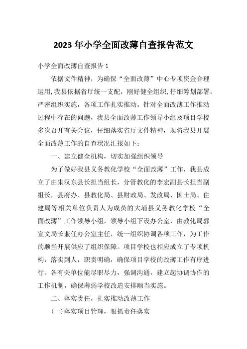 2023年小学全面改薄自查报告范文