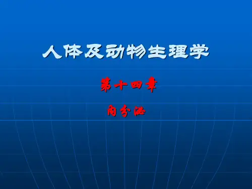 人体及动物生理学讲座之内分泌课件