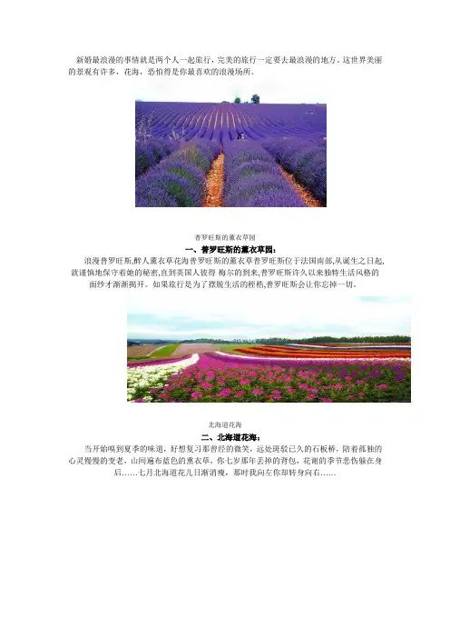 世界十大花海  中英文均有