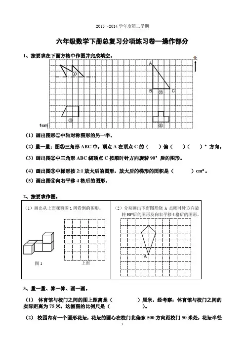 六年级下册总复习分项练习实践操作题画图题