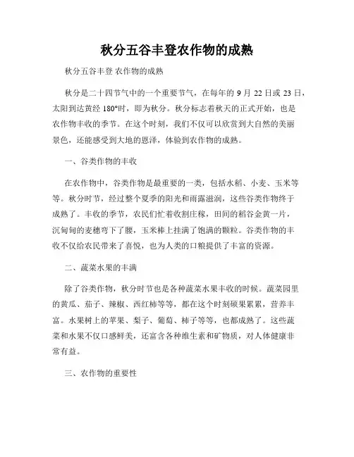秋分五谷丰登农作物的成熟