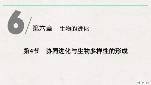 《协同进化与生物多样性的形成》生物的进化PPT课件