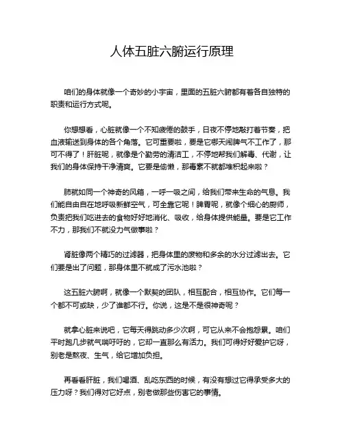 人体五脏六腑运行原理