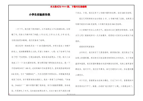 小学生实验报告我