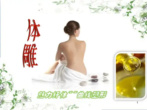 纤体塑形医学PPT课件