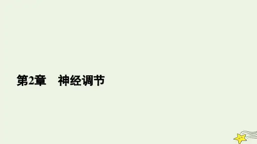 高中生物第2章神经调节第1节神经调节的结构基础课件选择性必修1