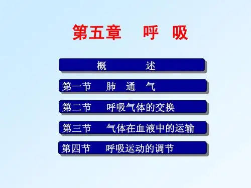 呼吸