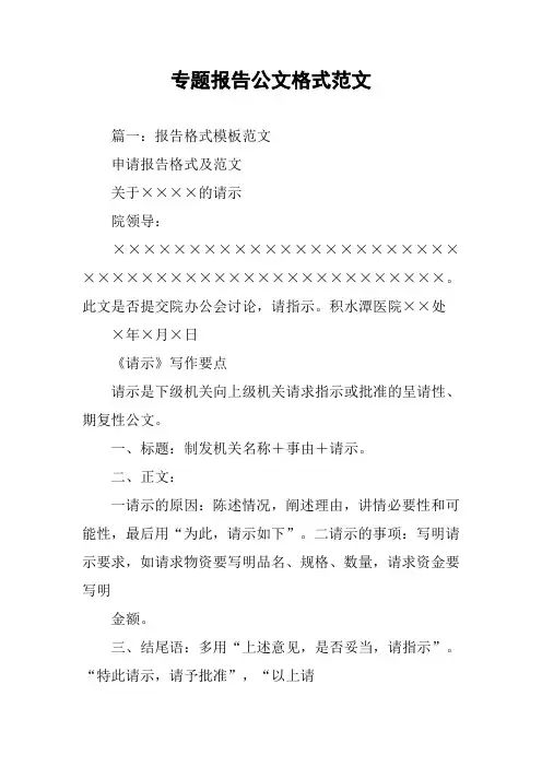 专题报告公文格式范文