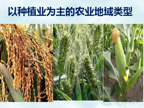 人教版地理必修二3.2《以种植业为主的农业地域类型》授课课件(共27张PPT)