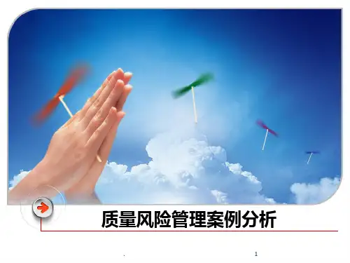质量风险管理案例分析ppt课件