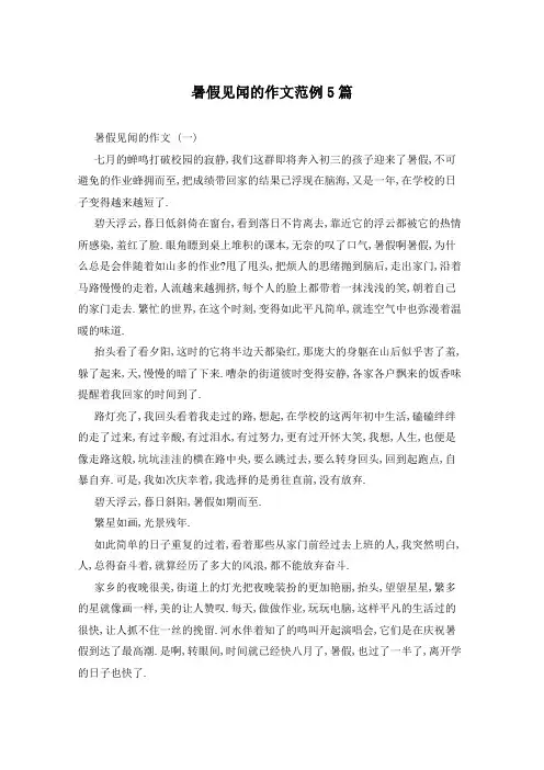 暑假见闻的作文范例5篇