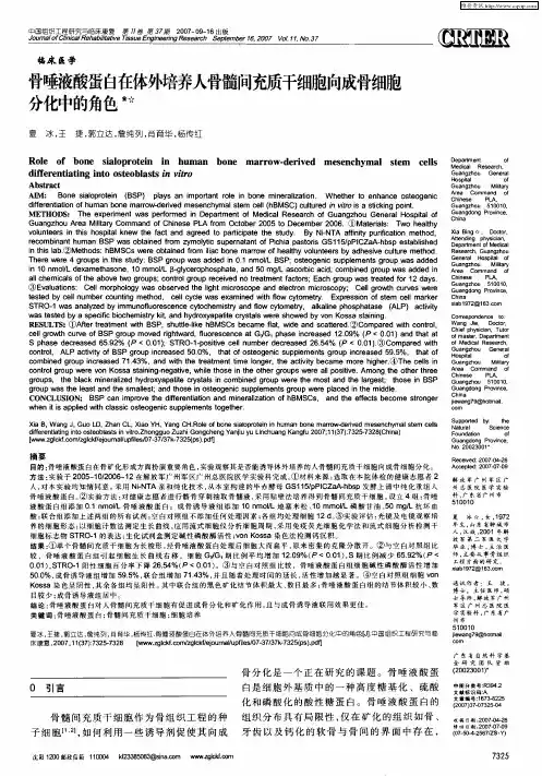 骨唾液酸蛋白在体外培养人骨髓间充质干细胞向成骨细胞分化中的角色
