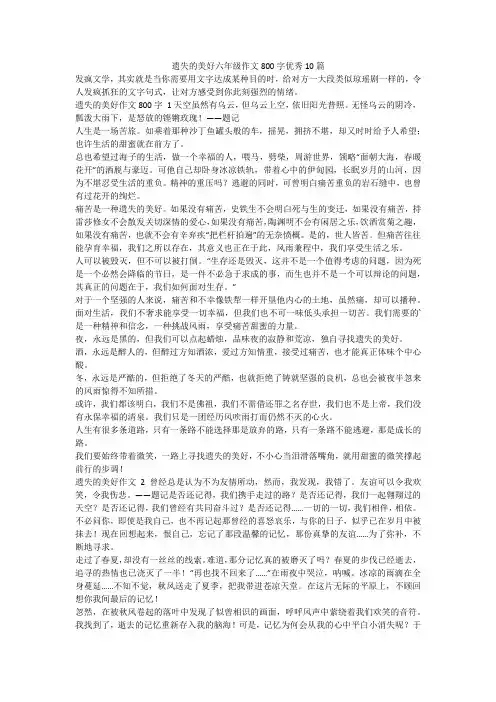 最新-遗失的美好六年级作文800字优秀10篇
