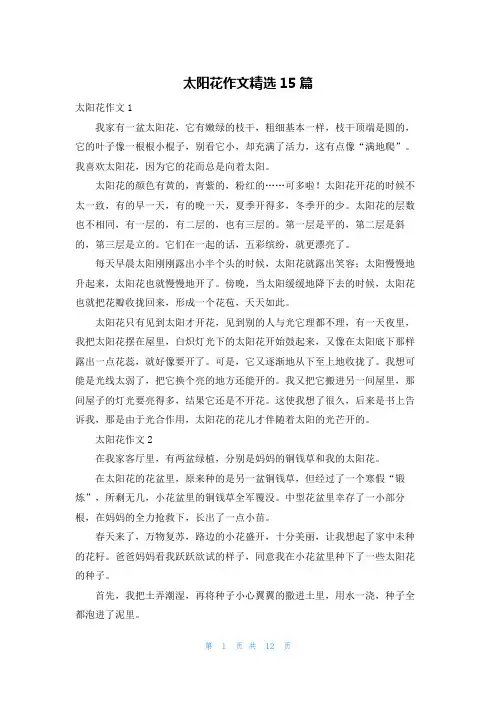 太阳花作文精选15篇