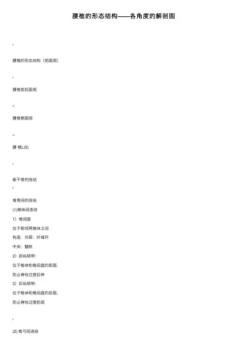 腰椎的形态结构——各角度的解剖图