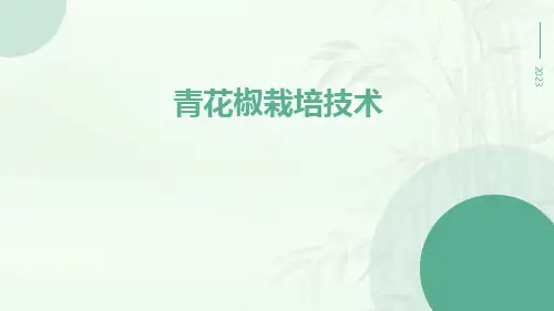 青花椒栽培技术