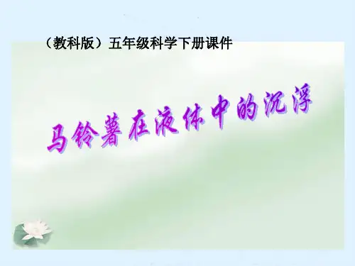 科学 马铃薯在水中的沉浮-课件