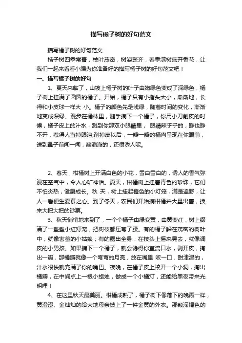 描写橘子树的好句范文