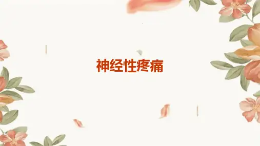《神经性疼痛》课件