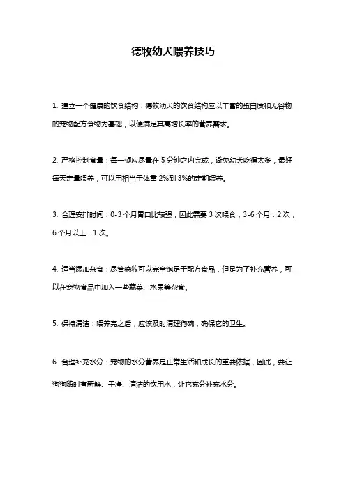 德牧幼犬喂养技巧