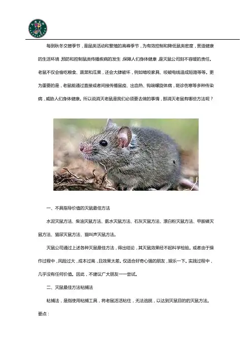 驱赶老鼠有哪些方法