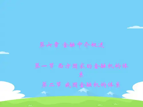 西方国家与我国的金融机构体系(ppt 17页)