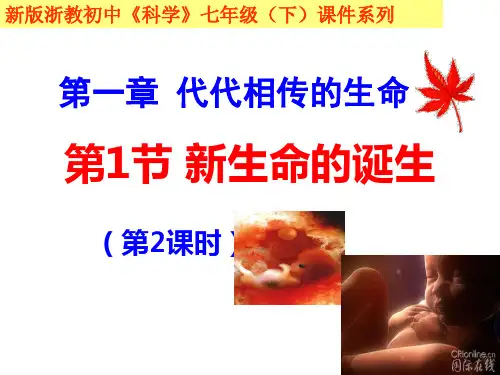 新生命的诞生第二课时
