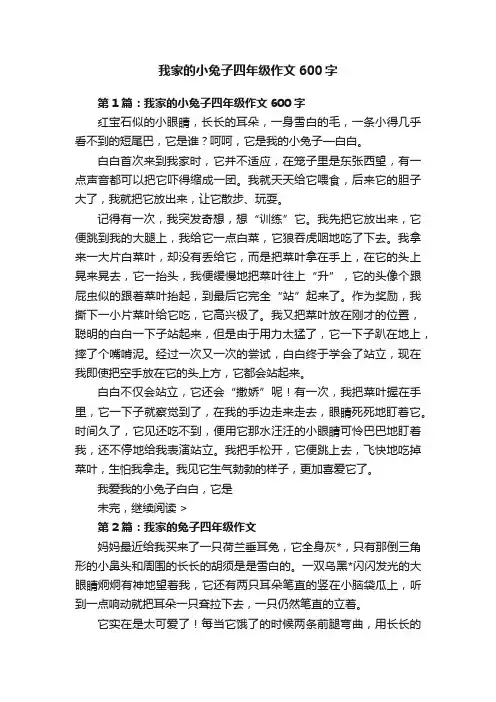 我家的小兔子四年级作文600字