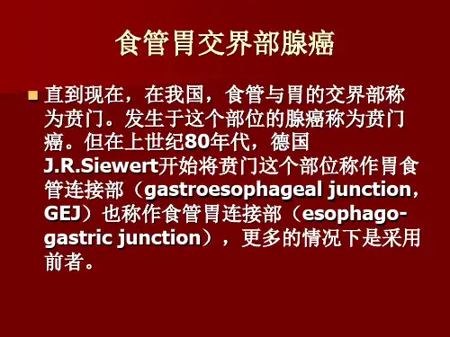 食管胃交界部腺癌