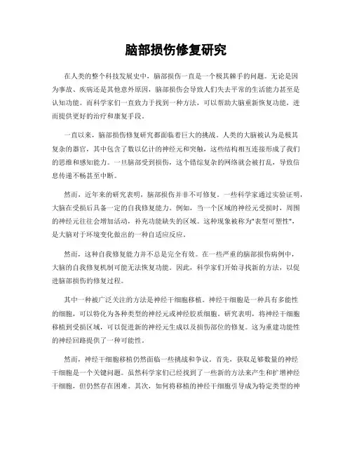 脑部损伤修复研究
