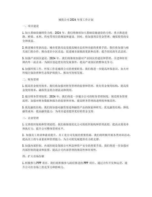 城投公司2024年度工作计划