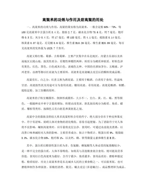 高粱米的功效与作用及甜高粱的用处