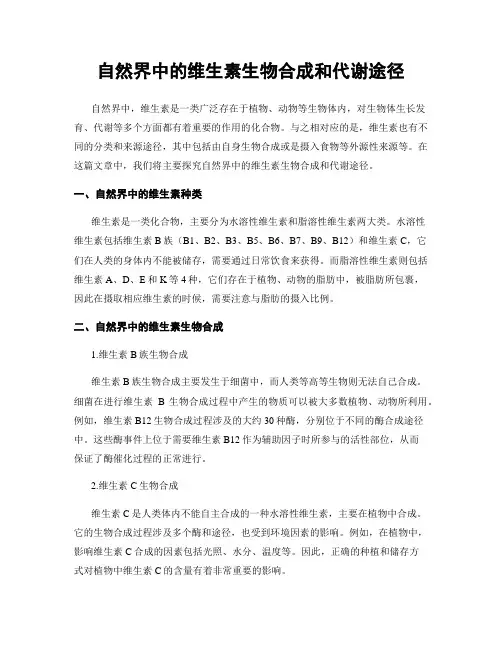 自然界中的维生素生物合成和代谢途径
